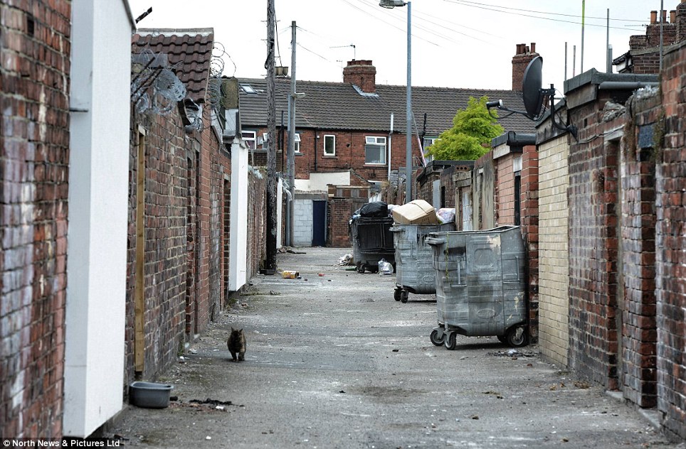 Picture 1. Neighbouring alleys such as this one in Middlesbrough